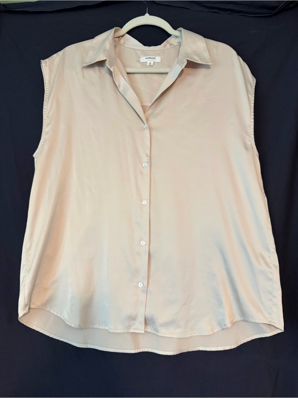 Weekend Max Mara Sleeveless Button-Down Top in Pale Blush